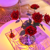 Roses et ambiance romantique love room Amiens