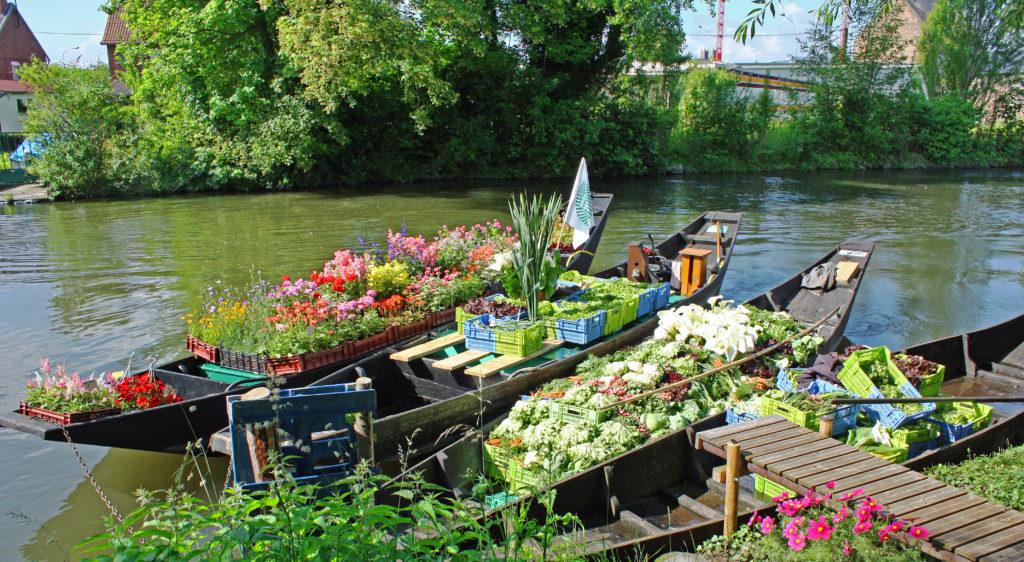 Hortillonnages Amiens
