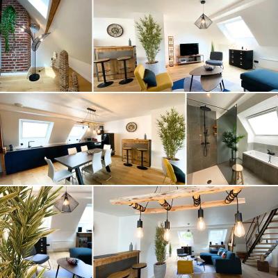 Logement amiens vue cathedrale